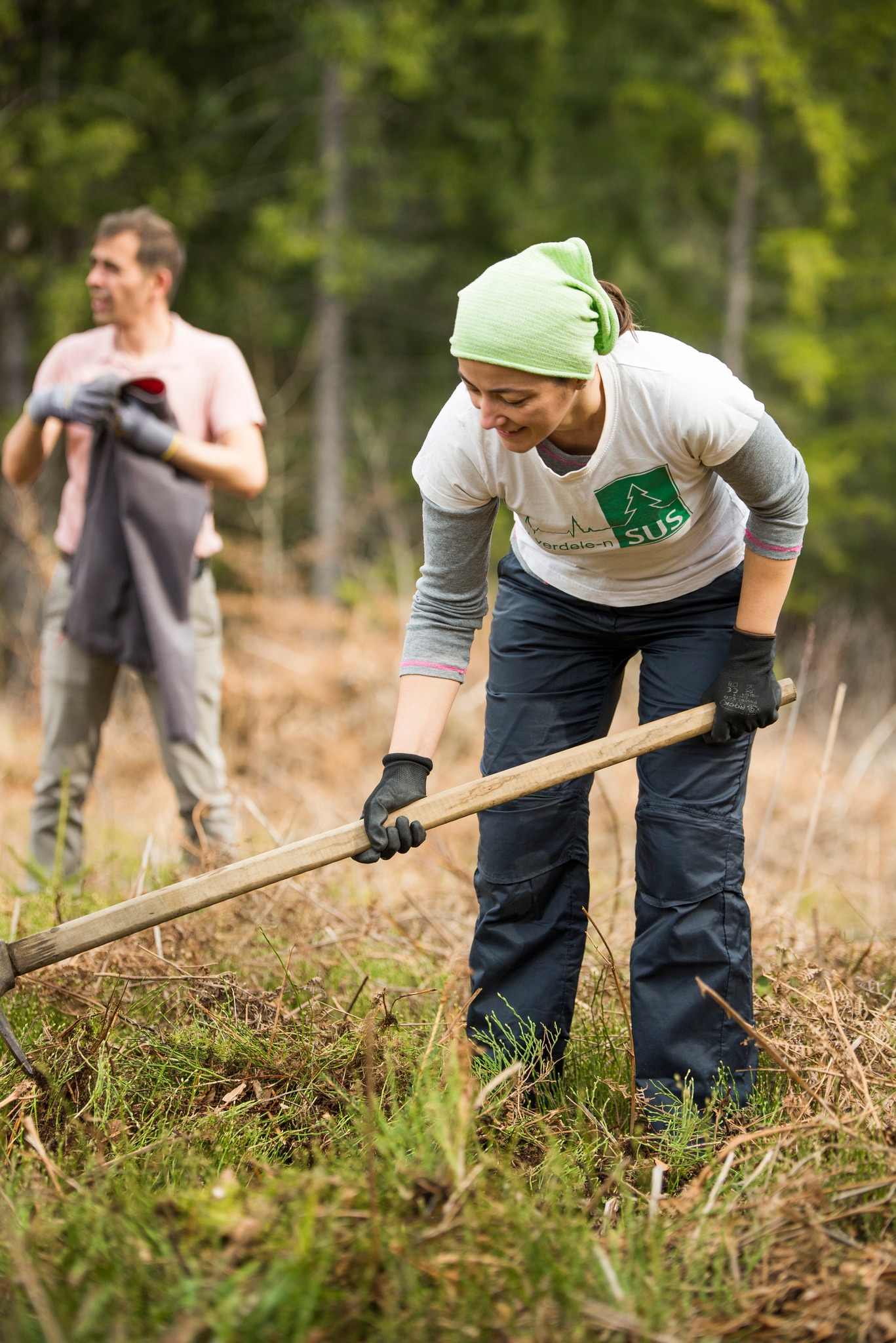 Valea Moasei Preview 3